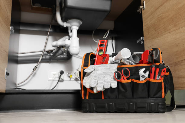 Best Drain Cleaning Services  in Palos Park, IL