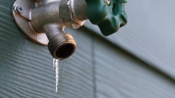 Best Sewer Line Repair  in Palos Park, IL